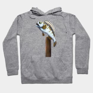 Cute Perch Drawing Hoodie